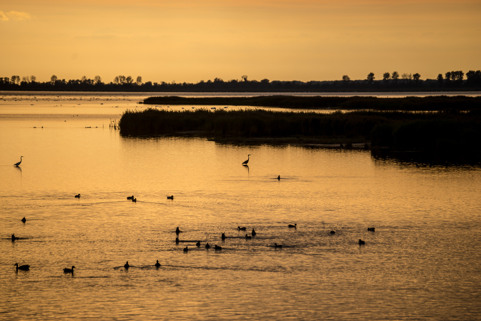 20160920 180502 Kranichtour nach Pramort Darß
